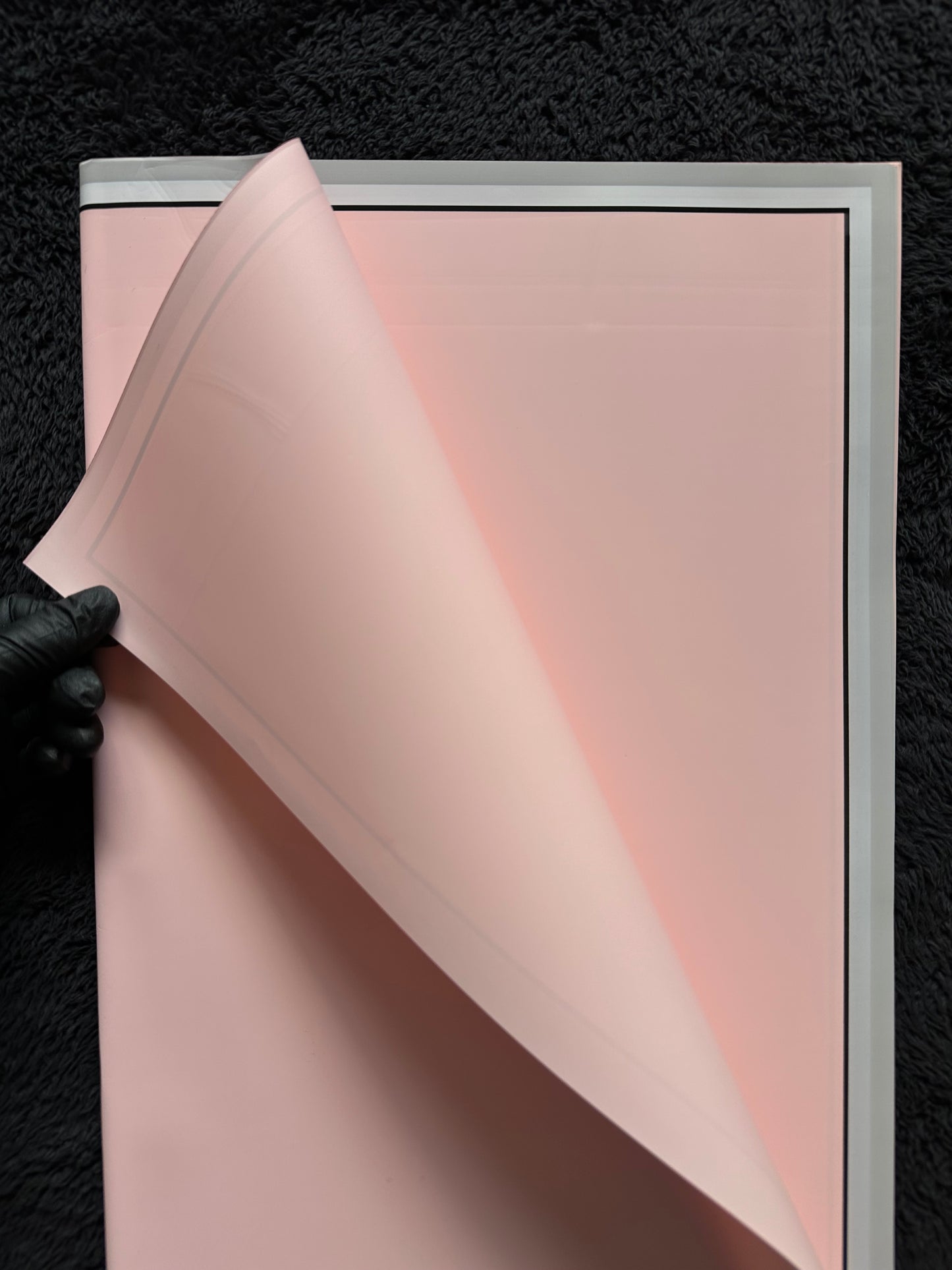 Elegant Double Border