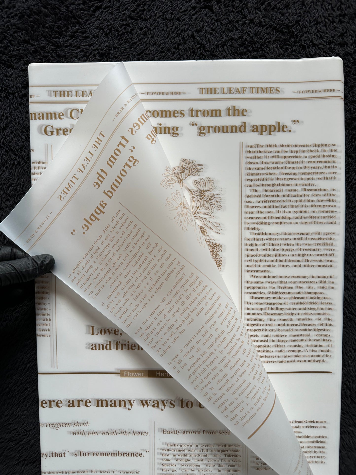 Newspaper Style