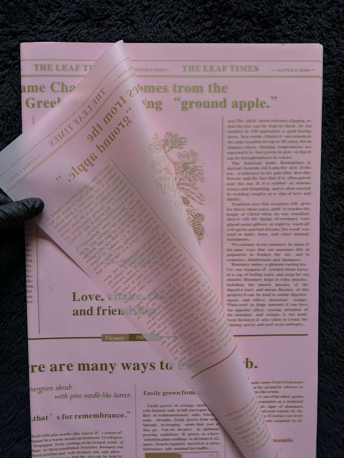 Newspaper Style