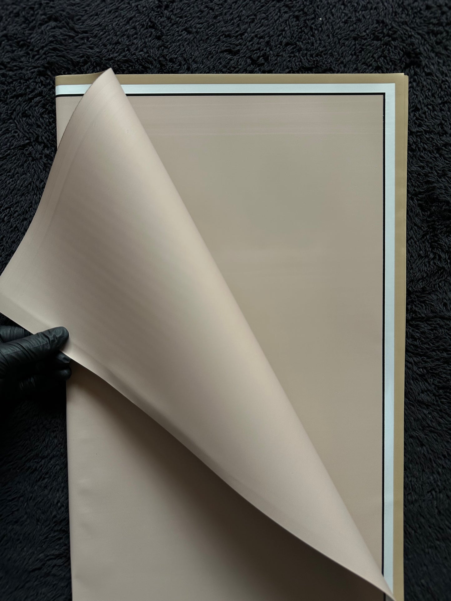 Elegant Double Border