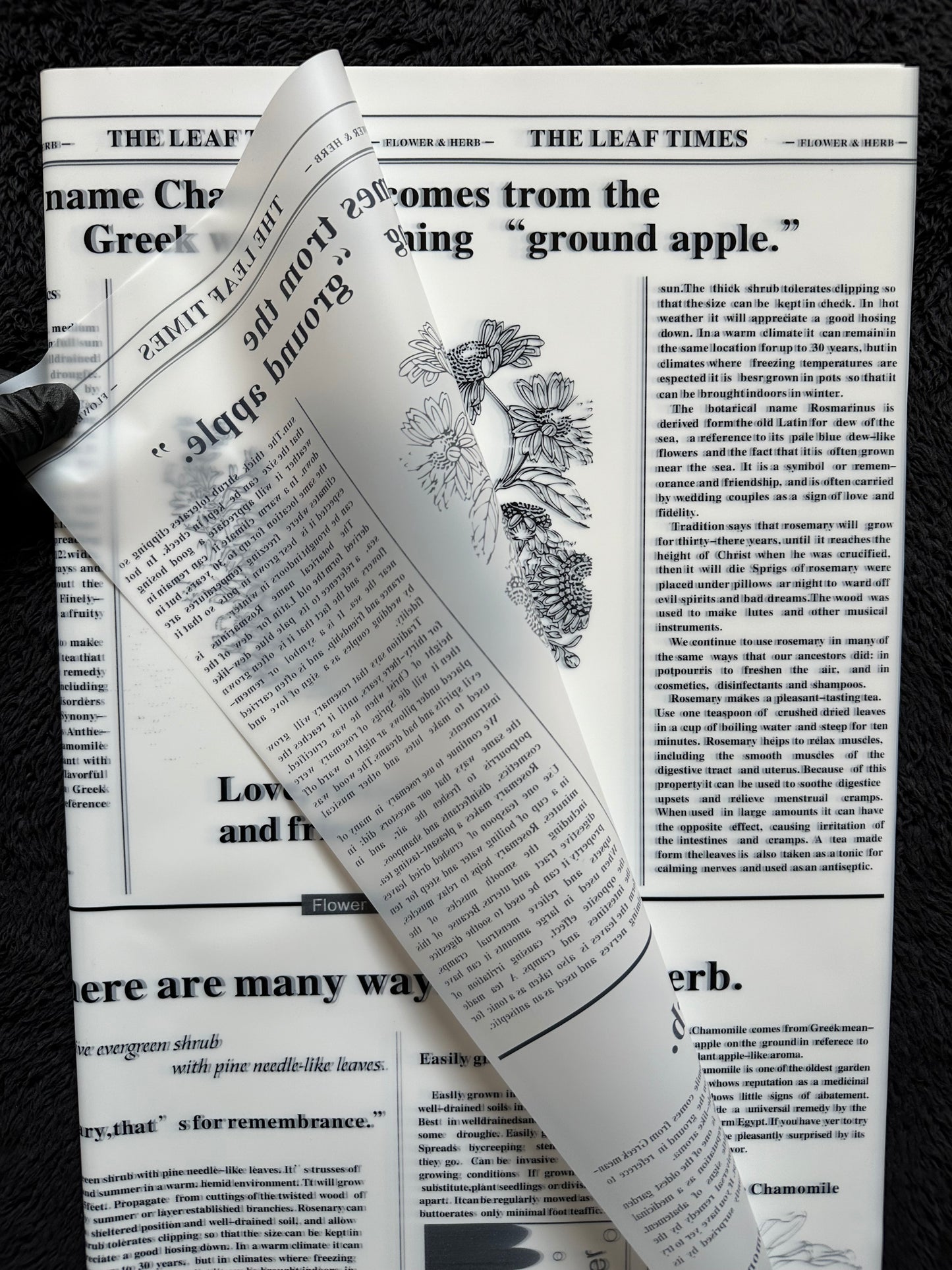 Newspaper Style