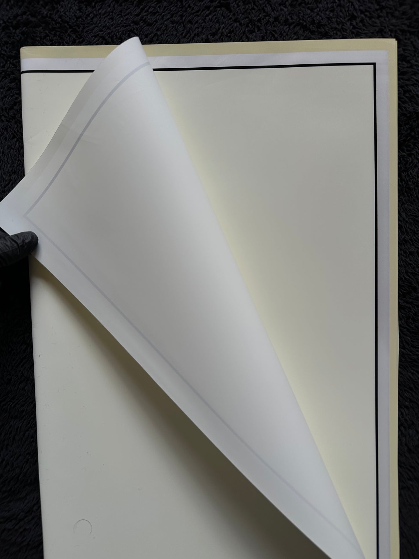Elegant Double Border